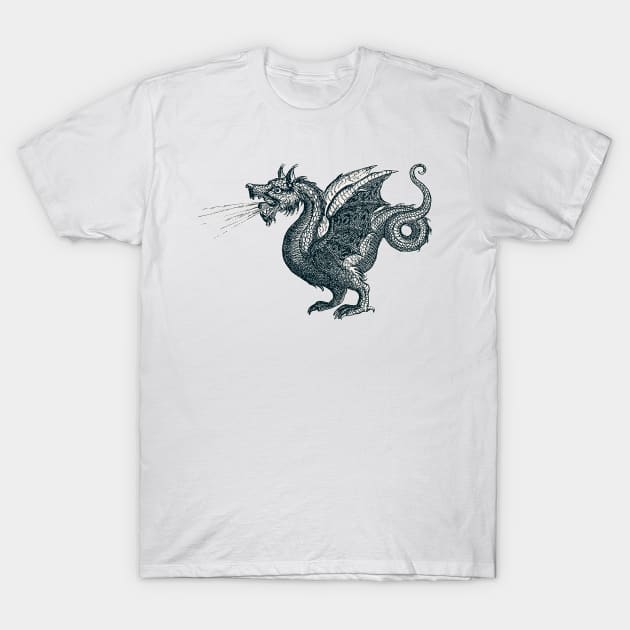 Wyvern T-Shirt by n23tees